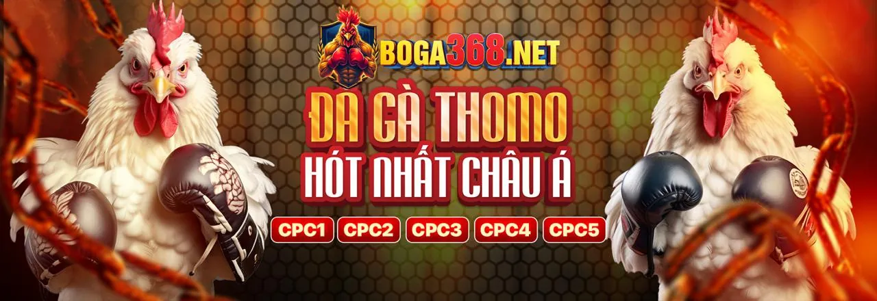 Tin tức mới nhất về hi8823.com và các sự kiện thể thao